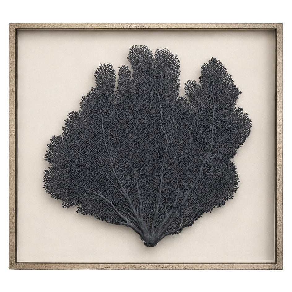 Iron Ore Sea Fan