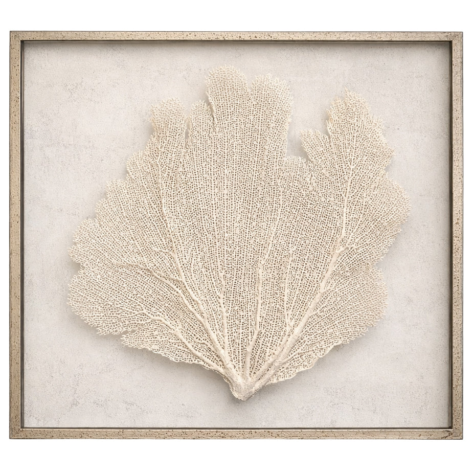 Pale Oak Sea Fan