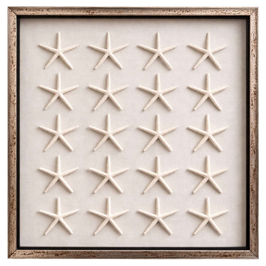 Starfish
