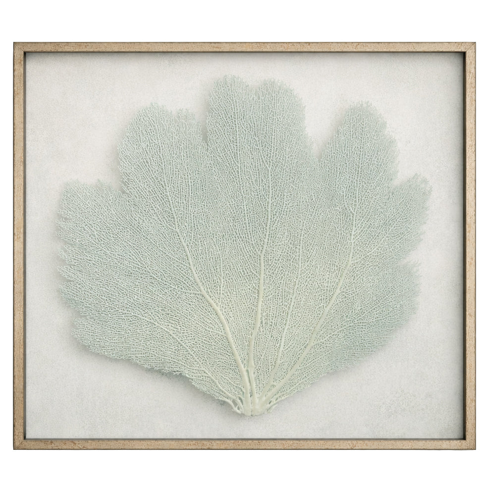 Sterling Sea Fan